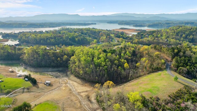 LOTS1 Fry Hill Rd, Dandridge, TN 37725 - photo 17