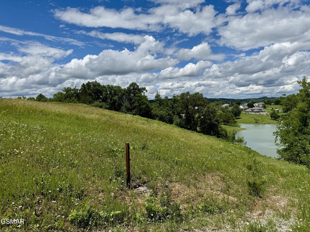 LOTS1 Fry Hill Rd, Dandridge, TN 37725 - photo 6