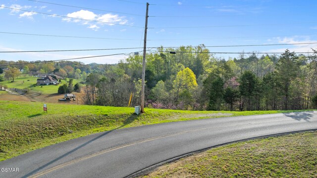 LOTS1 Fry Hill Rd, Dandridge, TN 37725 - photo 13