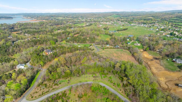 LOTS1 Fry Hill Rd, Dandridge, TN 37725 - photo 23
