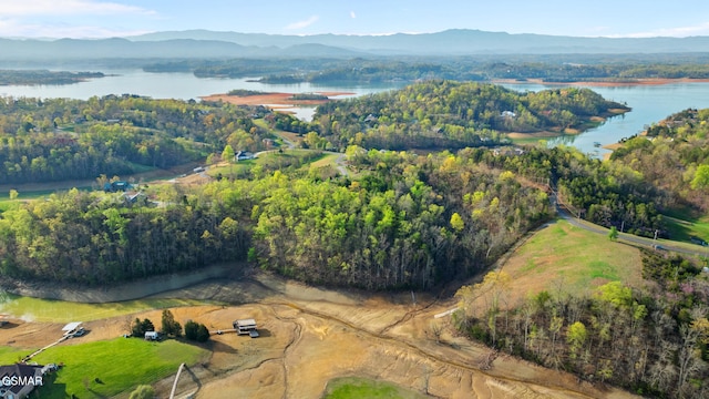 LOTS1 Fry Hill Rd, Dandridge, TN 37725 - photo 21