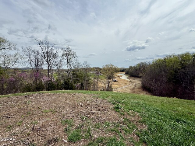 LOTS1 Fry Hill Rd, Dandridge, TN 37725 - photo 12