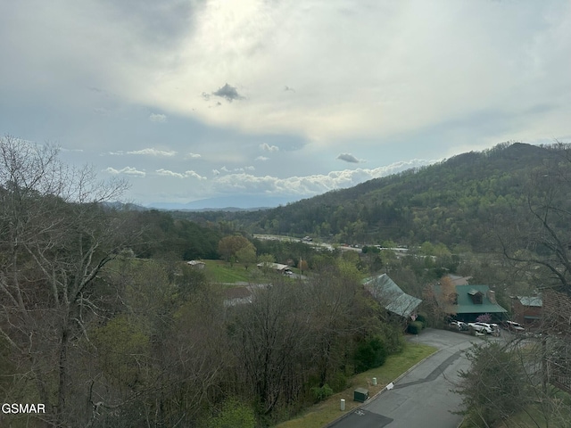 property view of mountains with a wooded view