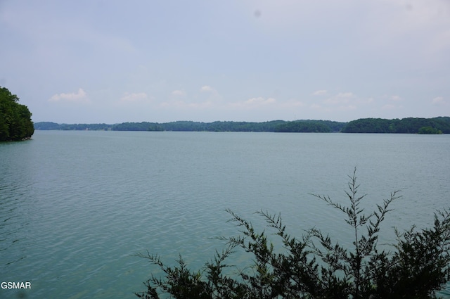 LOT21R1 Coffey Hts, Rutledge, TN 37861