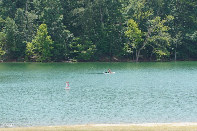 LOT21R1 Coffey Hts, Rutledge, TN 37861