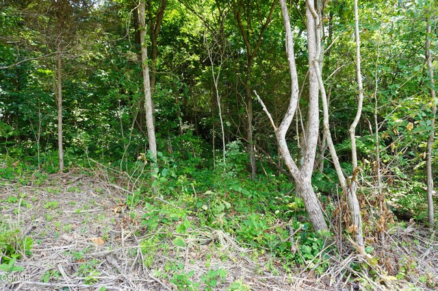 PAR015.04 Raindrop, Jefferson City, TN 37760 - photo 25