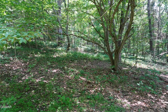 PAR015.04 Raindrop, Jefferson City, TN 37760 - photo 20