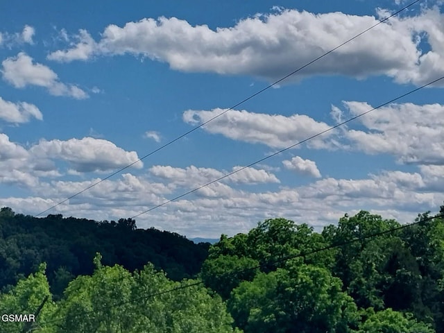PAR015.04 Raindrop, Jefferson City, TN 37760