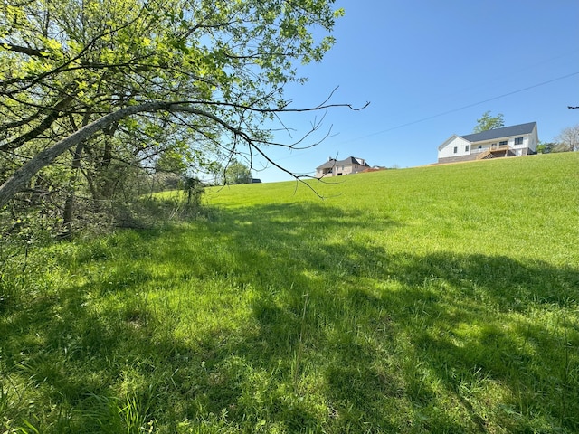 1909 Buck Hollow Rd, New Market, TN 37820 - photo 9