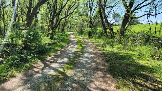 1909 Buck Hollow Rd, New Market, TN 37820 - photo 6