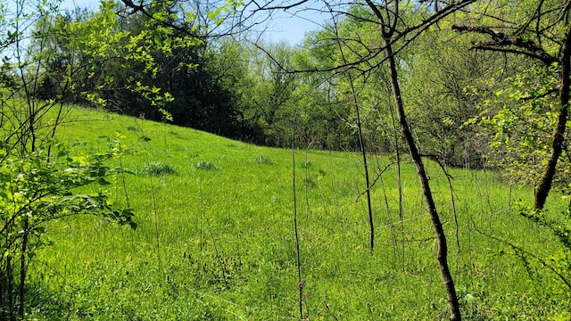 1909 Buck Hollow Rd, New Market, TN 37820 - photo 2