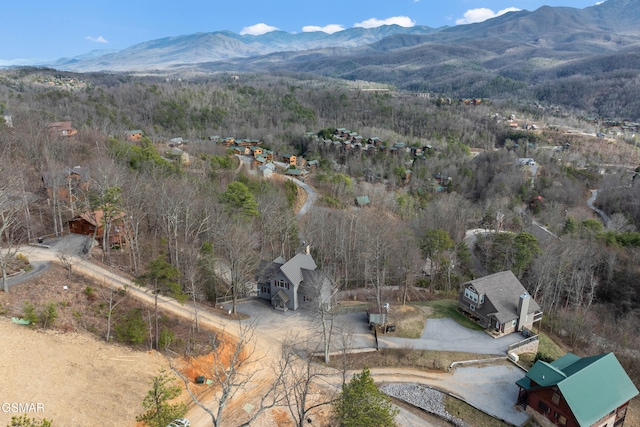 birds eye view of property featuring a mountain view