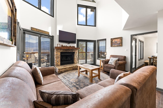 living room featuring a fireplace and wood finished floors