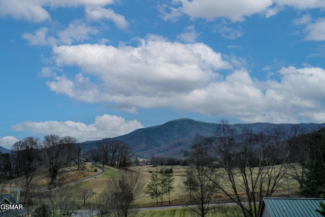 3919 Ole Smokey Way, Sevierville, TN 37862 - photo 5