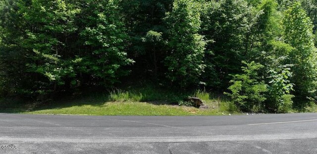 LOT134 Long Rifle Rd, Sevierville, TN 37862 - photo 3