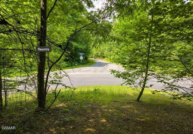 LOT134 Long Rifle Rd, Sevierville, TN 37862 - photo 4