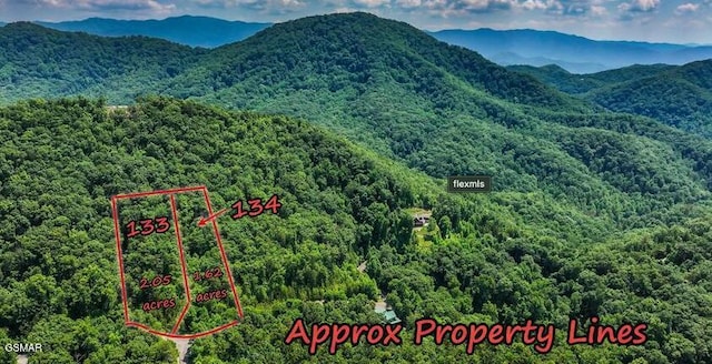 LOT134 Long Rifle Rd, Sevierville, TN 37862 - photo 2