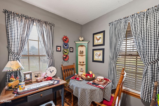 dining space with a textured ceiling and a wealth of natural light