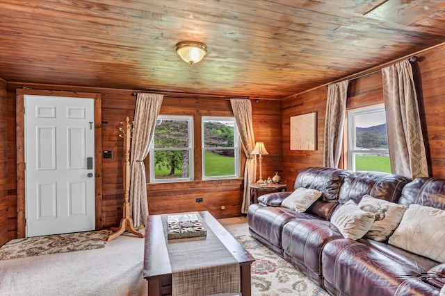 living room featuring a wealth of natural light, wood walls, and wooden ceiling