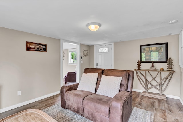 living room with hardwood / wood-style flooring