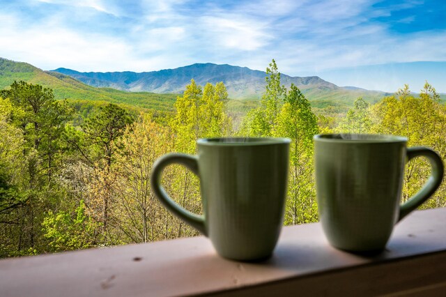 859 Pinnacle Vista Rd, Gatlinburg, TN 37738 - view of mountain backdrop