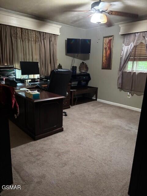 928 E Cross Rd, Dandridge, TN 37725 - carpeted home office featuring a ceiling fan, baseboards, and crown molding