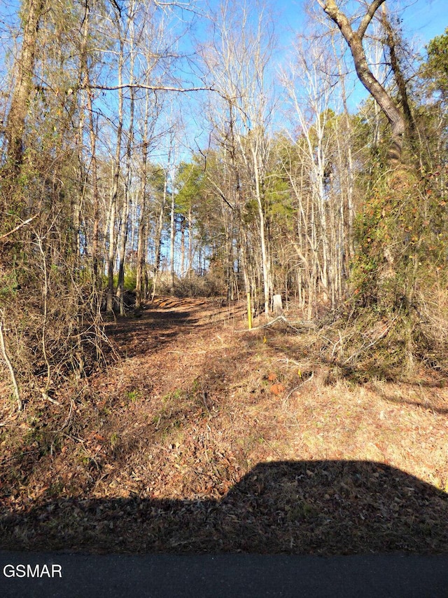 LOT13 Back Nine Dr, Baneberry TN, 37890 land for sale