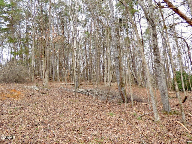 Listing photo 2 for LOT13 Back Nine Dr, Baneberry TN 37890