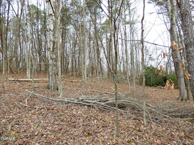 Listing photo 3 for LOT13 Back Nine Dr, Baneberry TN 37890