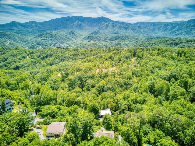 drone / aerial view featuring a mountain view