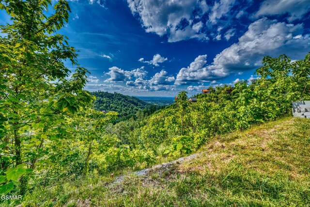 2109 Paradise View Way, Sevierville, TN 37876