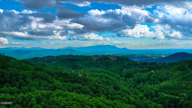 2109 Paradise View Way, Sevierville, TN 37876