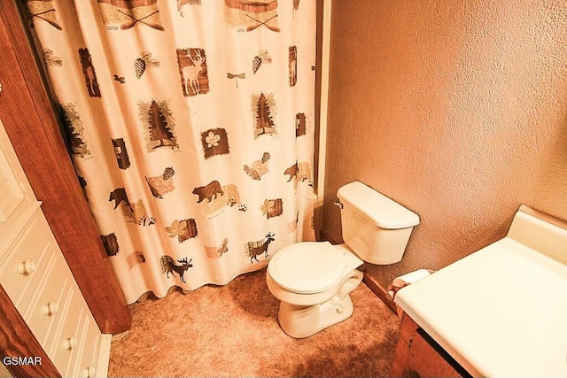 3644 Wears Mountain Ln, Sevierville, TN 37862 - full bathroom with toilet, a textured wall, and a shower with shower curtain