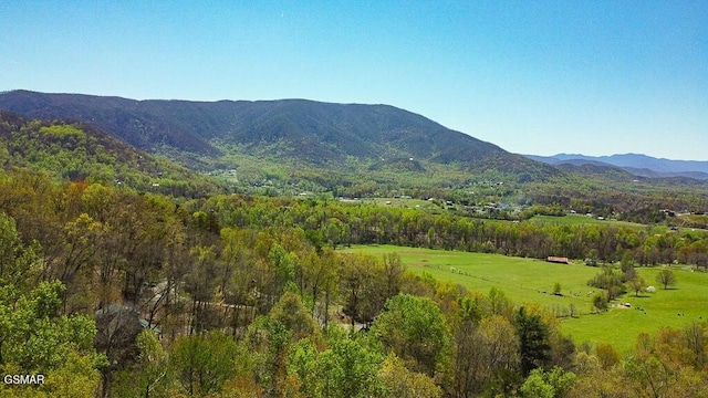 3644 Wears Mountain Ln, Sevierville, TN 37862 - mountain view