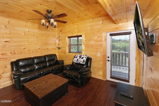 living room with wood ceiling, wooden walls, dark wood finished floors, and a ceiling fan