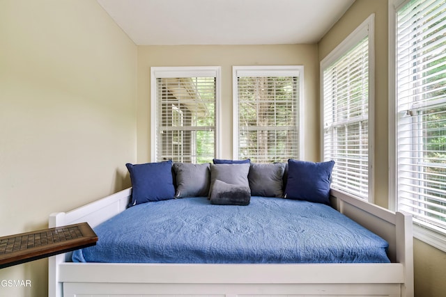 3230 Cove Creek Way, Sevierville, TN 37862 - bedroom featuring multiple windows
