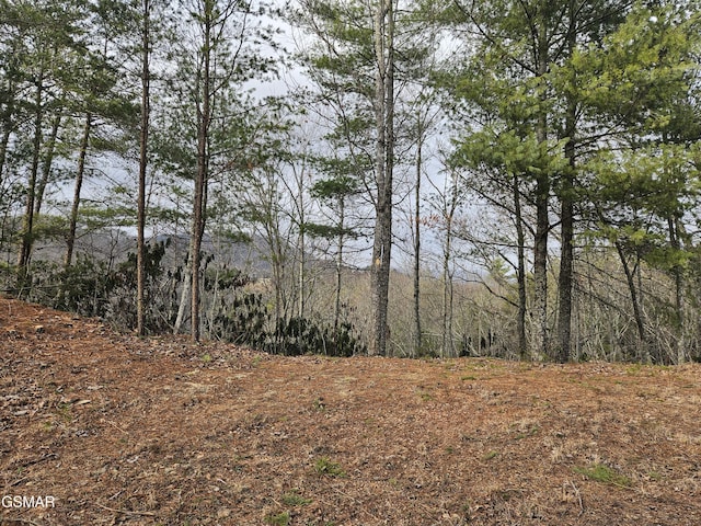 Listing photo 2 for 0 S Clear Fork Rd, Sevierville TN 37862