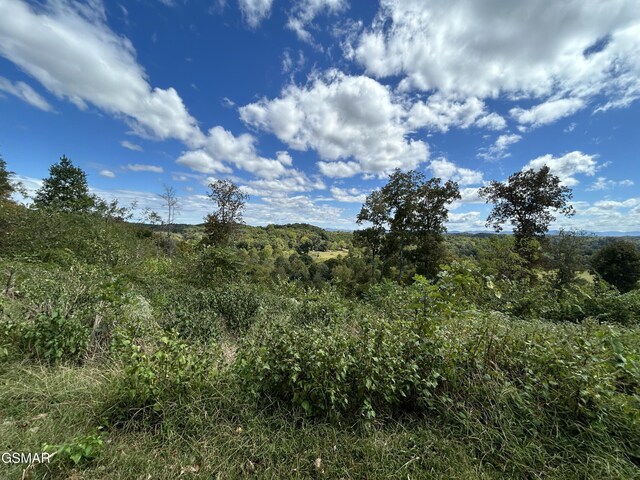 view of landscape