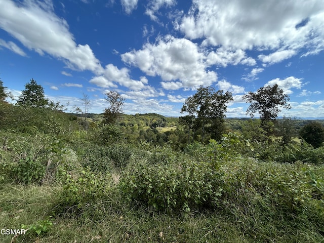 1300 Fish Hatchery Rd, Mosheim, TN 37810 - photo 71