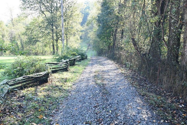 1300 Fish Hatchery Rd, Mosheim, TN 37810 - photo 6