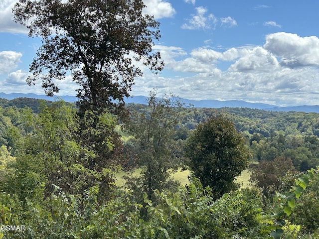 property view of mountains