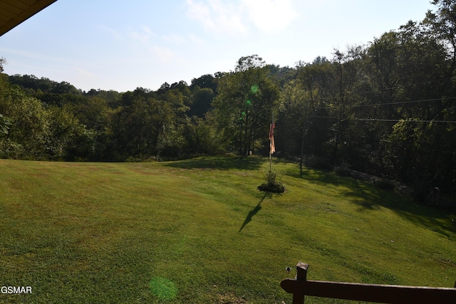 1300 Fish Hatchery Rd, Mosheim, TN 37810 - photo 50