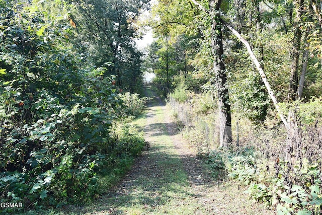 view of landscape