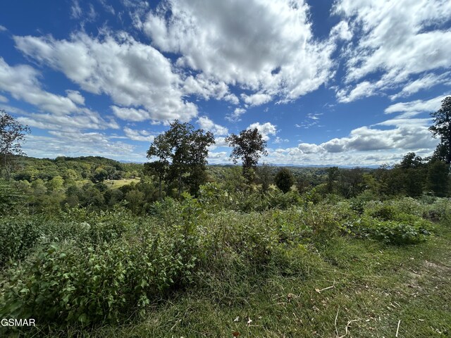 view of landscape