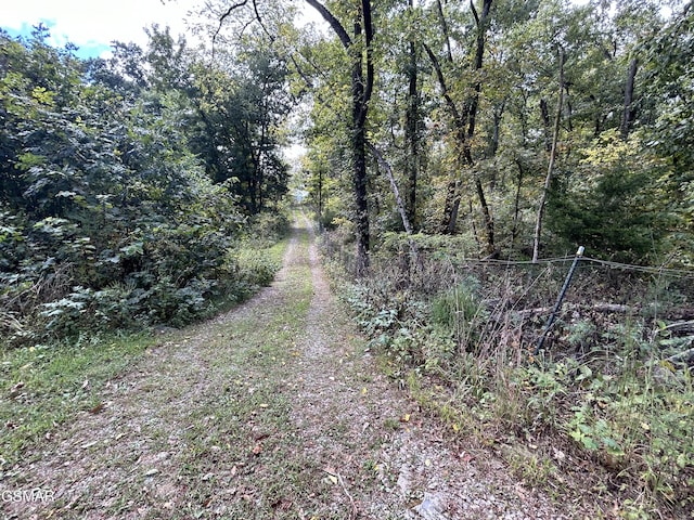1300 Fish Hatchery Rd, Mosheim, TN 37810 - photo 4