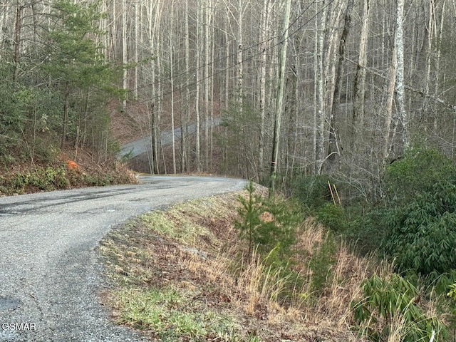 Listing photo 2 for 714 Pinnacle Vista Rd, Gatlinburg TN 37738