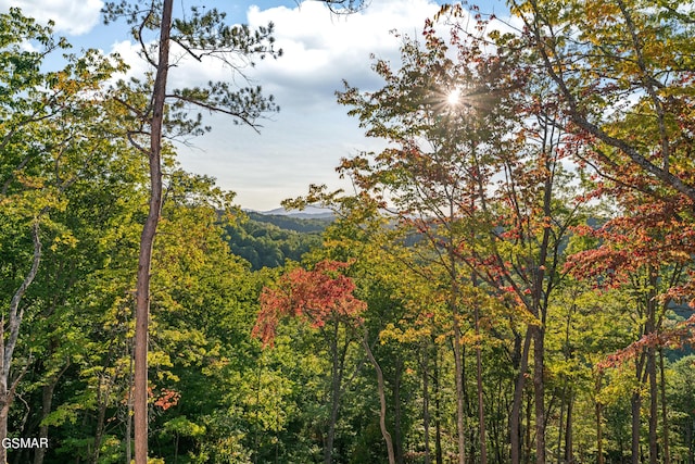 view of local wilderness