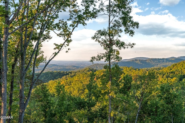 property view of mountains