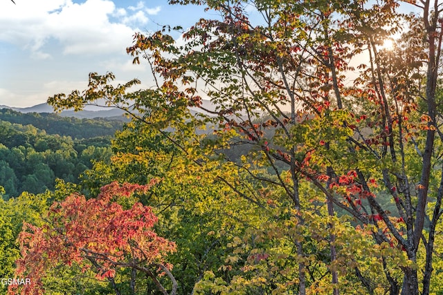 view of mountain feature