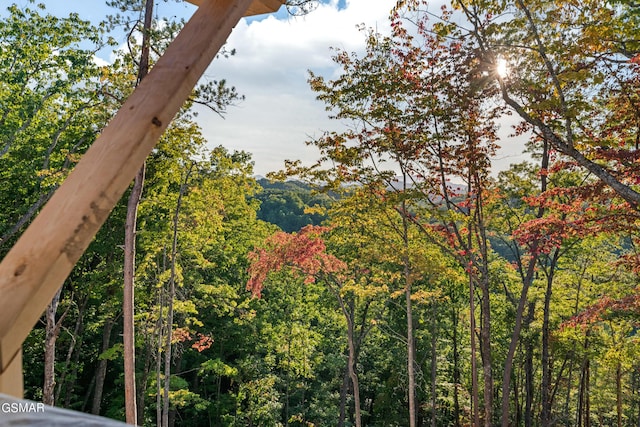 view of local wilderness